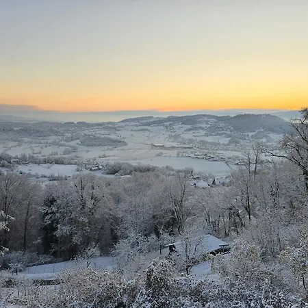 Vineyard Nad Pravljicno Dolino * 斯玛杰克托莱塞